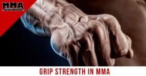 Grip strength and forearm development for mixed martial arts