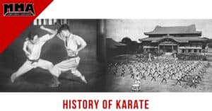 detailed story of the complete history of karate
